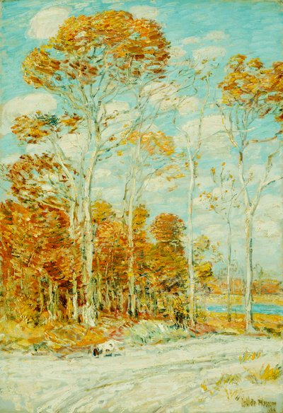 Das Nest des Falken von Childe Frederick Hassam