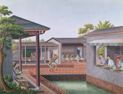 Teesortierung von Chinese School