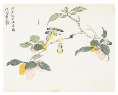 Senfkorn-Garten von Chinese School