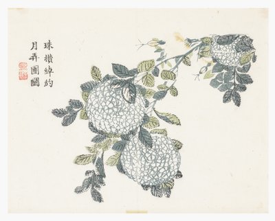 Senfkorn-Garten von Chinese School