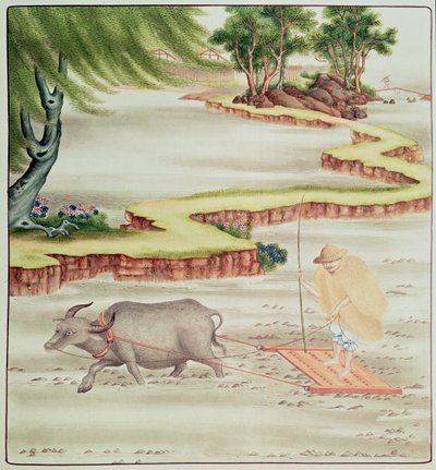 Bauer bei der Arbeit auf den Reisfeldern von Chinese School