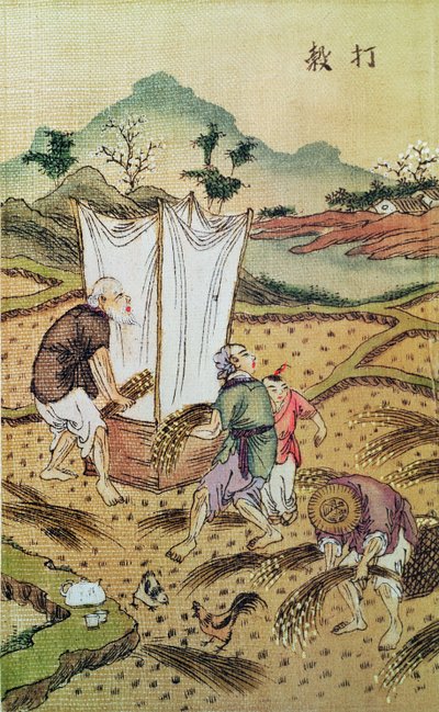 Die Geschichte des Reises von Chinese School