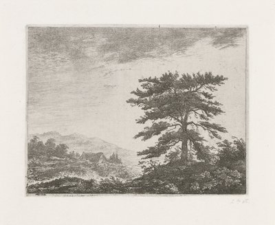 Baum in einer Heidelandschaft von Christiaan Wilhelmus Moorrees