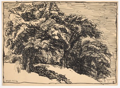 Eichen auf einem Abhang von Christian Kongstad Petersen