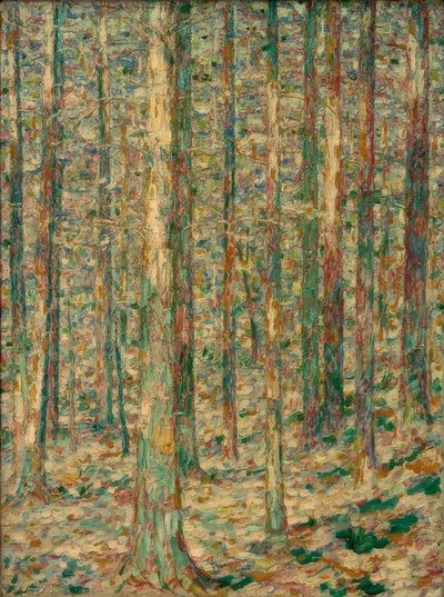 Kiefernstämme im Sonnenlicht von Christian Rohlfs