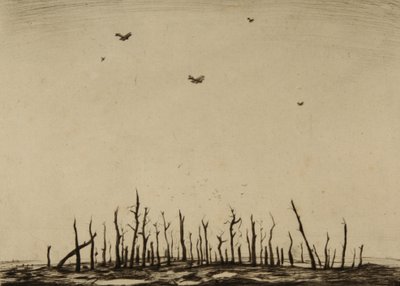 Der verfluchte Wald von Christopher Richard Wynne Nevinson