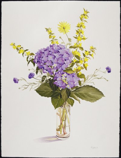 Blaue Hortensie mit gelbem Gilbweiderich von Christopher Ryland