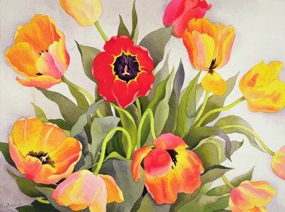 Orange und rote Tulpen von Christopher Ryland