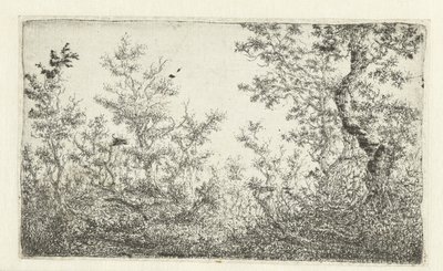 Lichtung im Wald von Claes van Beresteyn
