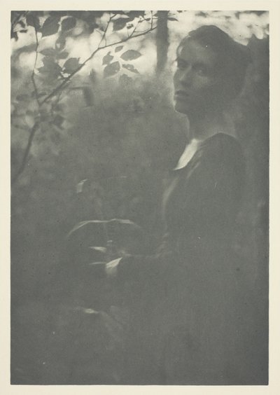 Waldrand von Clarence H. White