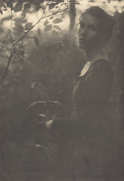 Waldrand, Abend von Clarence H White