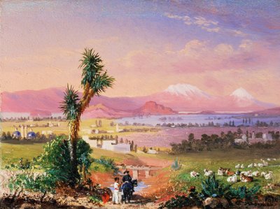 Ein Blick auf Mexiko-Stadt von Conrad Wise Chapman