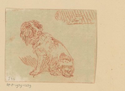 Sitzender Hund von Cornelis Brouwer (possibly)