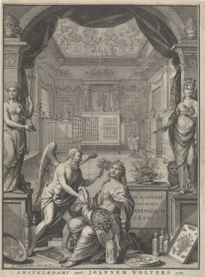 Allegorie der Natur von Cornelis Huyberts