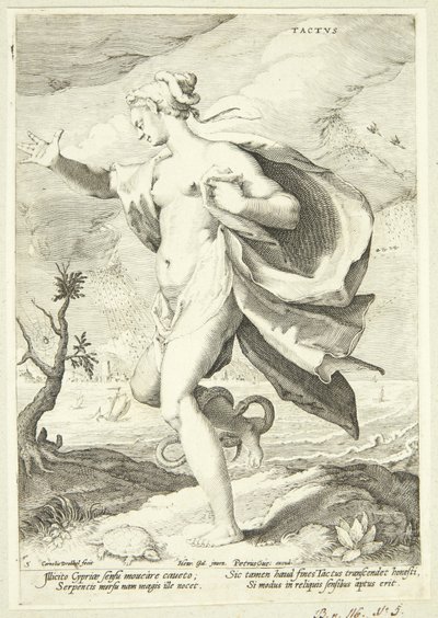 Der Tastsinn von Cornelis Jacobsz Drebbel