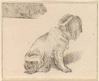 Sitzender Hund von Cornelis Ploos van Amstel