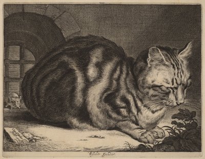 Die große Katze von Cornelis Visscher