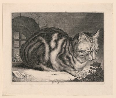 Die große Katze von Cornelis Visscher