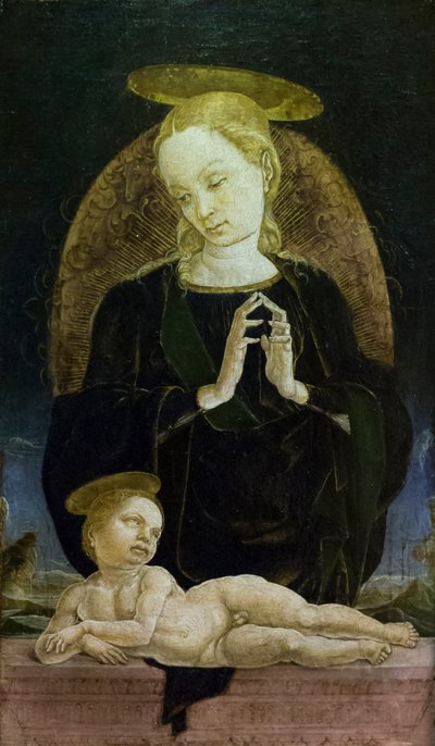 Madonna und Kind von Cosimo Tura