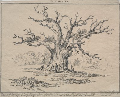 Fairlop Oak, 1811 von D. H. Redman