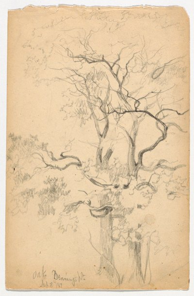 Studie von Eichen bei Dennings Point von Daniel Huntington