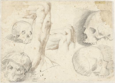 Vier Studien eines Schädels von Daniele da Volterra