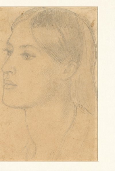 Frauenkopf von Dante Gabriel Rossetti (attributed to)
