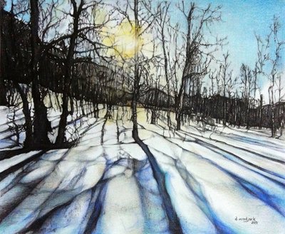 Winterschatten, 2017 von Darrell Windjack