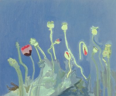 Mohnköpfe von David Alan Redpath Michie