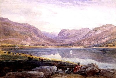 Tal-y-llyn, Nordwales von David Cox