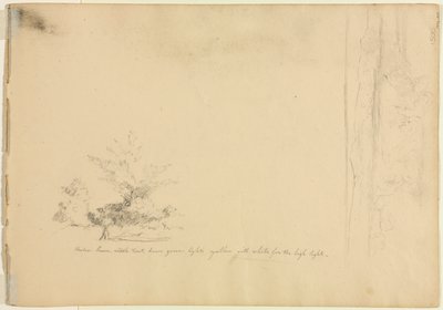 Landschafts- und Baumstudien (Rückseite) von David Johnson