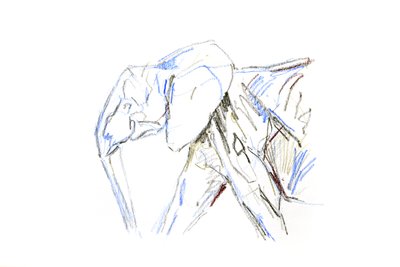 Afrikanischer Elefant, 2021 von David Mayer