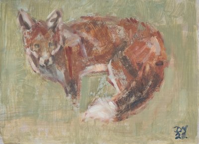Rotfuchs, 2022 von David Mayer