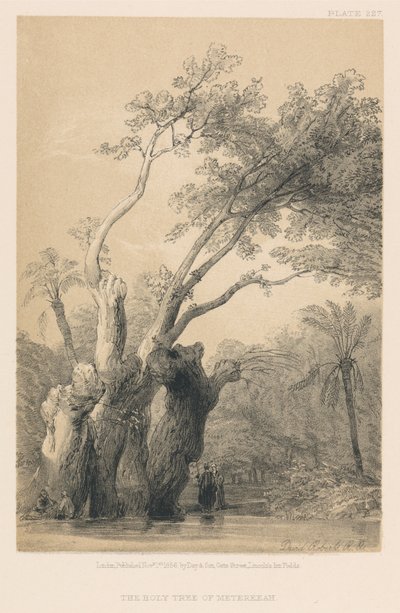 Der heilige Baum von Metereeah von David Roberts