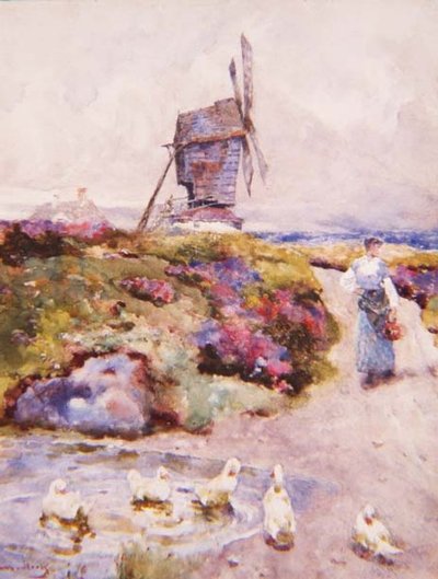Die Mühle auf dem Gemeindeland, Houghton, Huntingdonshire von David Woodlock