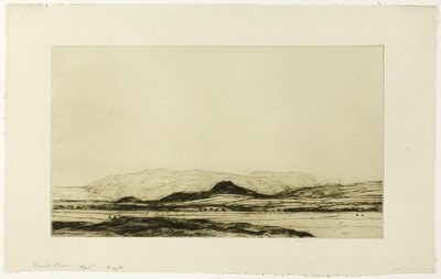 Dinnet Moor von David Young Cameron