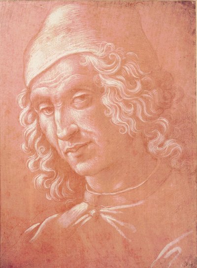 Kopf eines Mannes (Silberstift auf Papier) von Davide Ghirlandaio