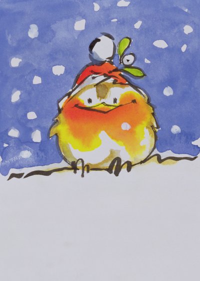 Weihnachtsrotkehlchen von Diane Matthes