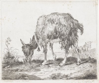 Weidende Ziege mit Glocke von Diederik Jan Singendonck