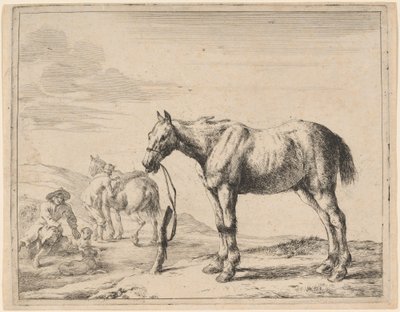 Ein Pferd an einen Pfosten gebunden von Dirck Stoop