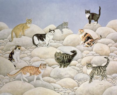 Lynn Valley Katzen von Ditz
