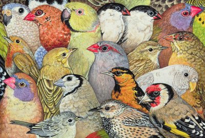 Patchwork-Vögel, 1995 von Ditz