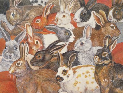 Kaninchen-Verbreitung von Ditz