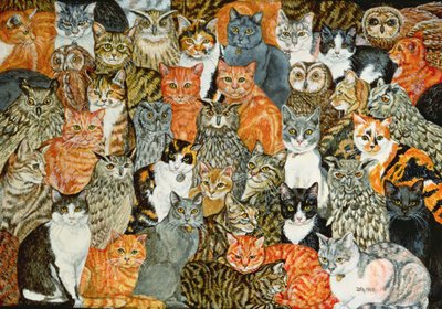 Die Eulen und die Katzen von Ditz
