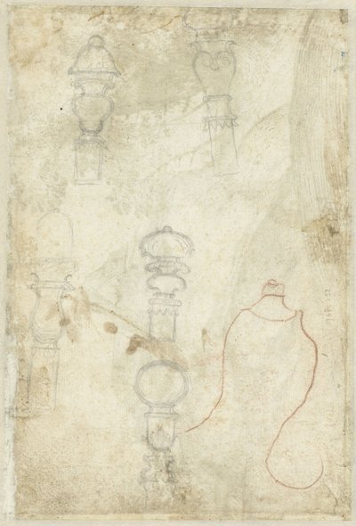 Skizzen von Knospen von Domenico Campagnola (possibly)
