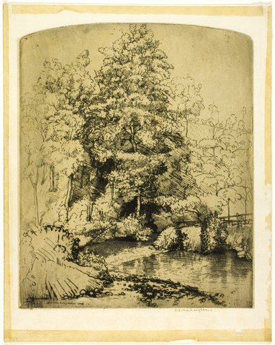 Der Forellenbach von Donald Shaw MacLaughlan