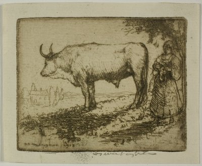 Der weiße Ochse von Donald Shaw MacLaughlan
