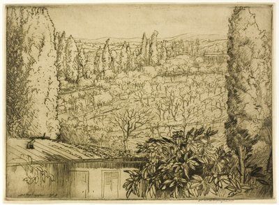 Toskana von Donald Shaw MacLaughlan