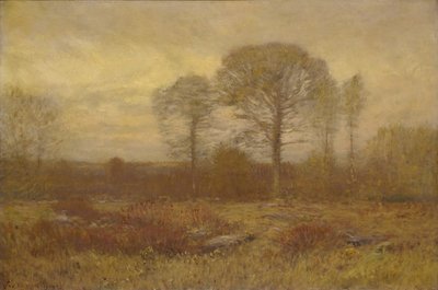 November von Dwight William Tryon