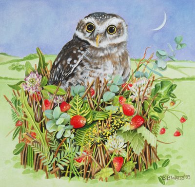 Eule in einem Waldkorb, 1993 von E.B. Watts